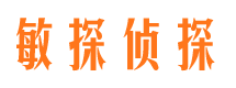 民丰侦探公司